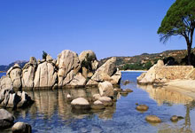 米兰真人-利物浦小将表现抢眼，劲旅添新力量