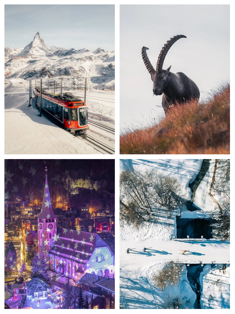 法国挑战瑞士,胜负将在一线之间 法国挑战瑞士,胜负将在一线之间